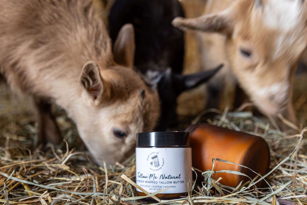 Grass-fed Tallow is nutrient-rich, anti-inflammatory, anti-microbial, and most compatible with our skin's natural makeup and structure.    Lavender essential oil is restorative and calming.